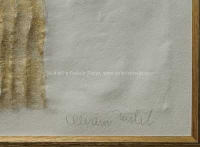  / Zima 2 / Olbram Zoubek