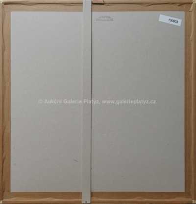  / Zima 2 / Olbram Zoubek