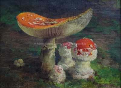  / Muchomůrky / František Daněk - Sedláček