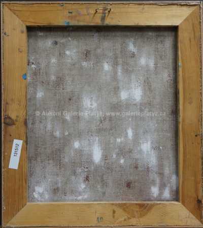  / Barevná plocha / Čestmír Janošek