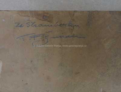  / Ze Štramberku / František Tavík Šimon