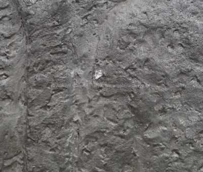  / Podzim 2 / Olbram Zoubek