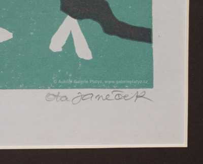  / Jaro / Ota Janeček