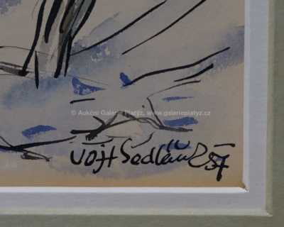  / Zima / Vojtěch  Sedláček