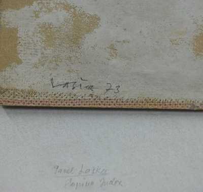  / Stíny / Pavel Laška