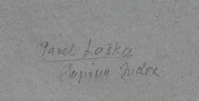  / Stíny / Pavel Laška