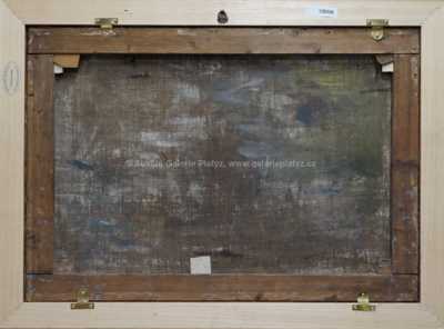  / Dívka se zrcadlem /   Autor neurčen