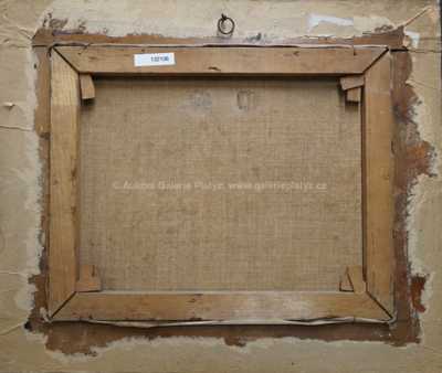  / Potok pod vesnicí /   Neznačeno