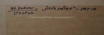  / Oslava / Zdeněk Burian