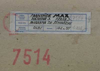  / Panorama ze Seminářské / František  Max