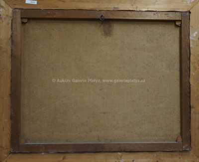  / Lesní potok / Jan Trefný