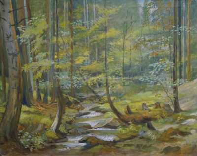  / Lesní potok / Jan Trefný