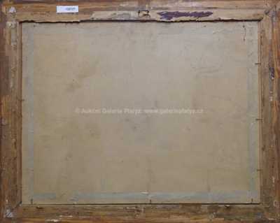  / Roubená vesnice / Jan Honsa