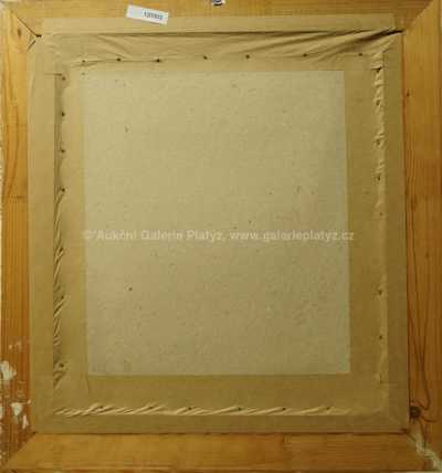  / Demonstrace / Adolf Born