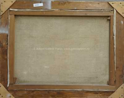  / Průhled lesem / Roman Havelka