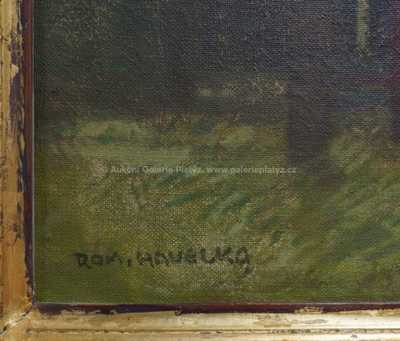  / Průhled lesem / Roman Havelka