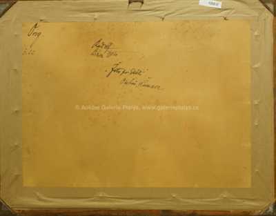  / Žito po dešti / Rudolf Bém (Vratislav Hlava)