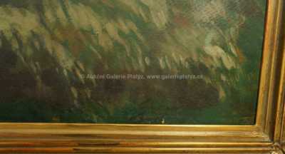  / Žito po dešti / Rudolf Bém (Vratislav Hlava)