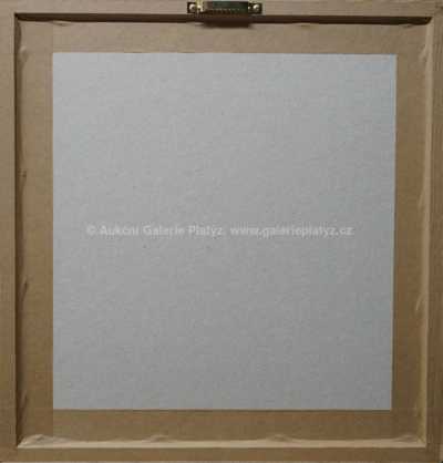  / Identifikace / Zdeněk Burian