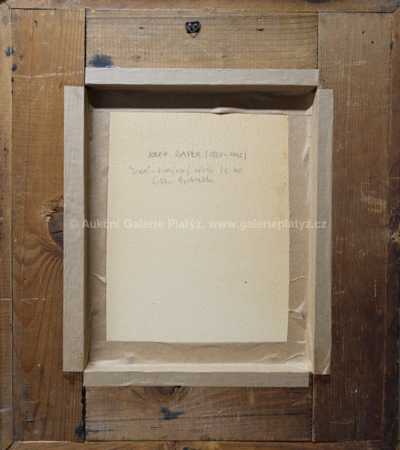  / Sova / Josef Čapek