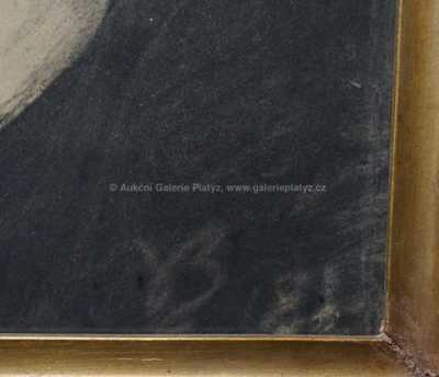  / Portrét muže / Václav Brožík