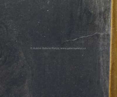  / Portrét muže / Václav Brožík