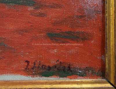  / Maková pole / Jan Slavíček