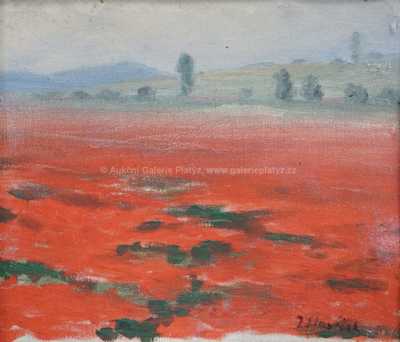 / Maková pole / Jan Slavíček