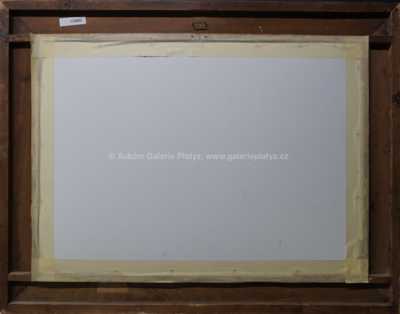  / Koupání / Karel Langer