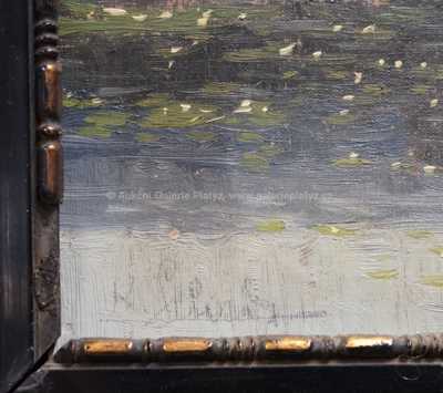  / Lekníny / Karel Schadt