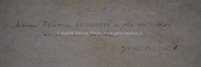  / Vysoký břeh / Jaromír Kunc