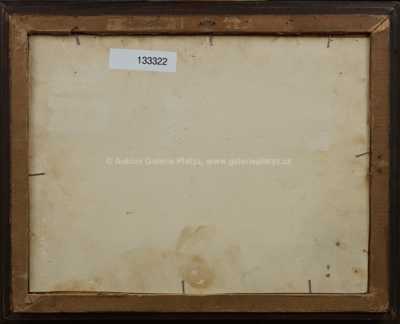  / Za stodolou / Jaroslav Panuška