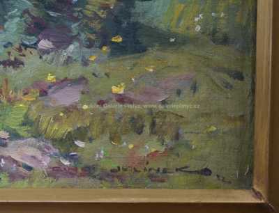  / Letní nálada / František Cína - Jelínek