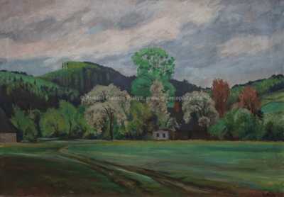  / Chaloupka u lesa / Rudolf Vejrych