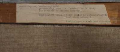  / Chaloupka u lesa / Rudolf Vejrych