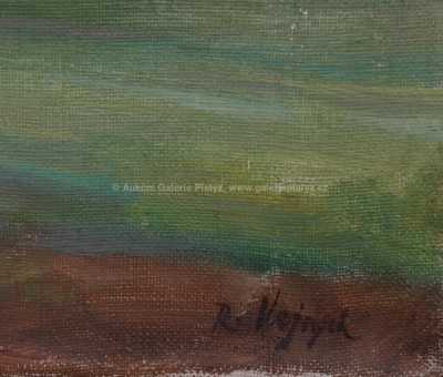  / Chaloupka u lesa / Rudolf Vejrych