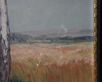  / Březová alej / Otakar Hůrka