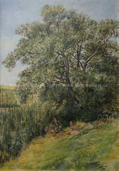  / Letní motiv / Jan Köppl