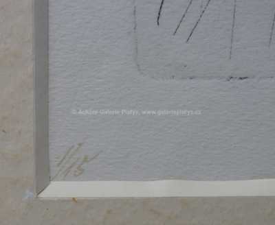  / Muž s deštníkem / František  Tichý