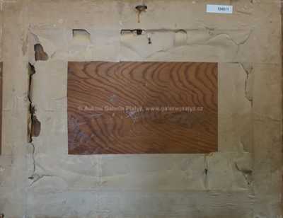  / Rozkvetlá louka / Otakar Hůrka