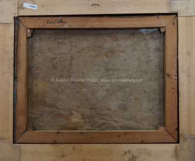  / Pohled na lom / Michal Tillner