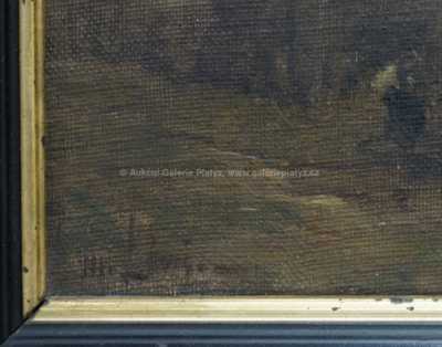  / Na rybníce / Martin Lewis