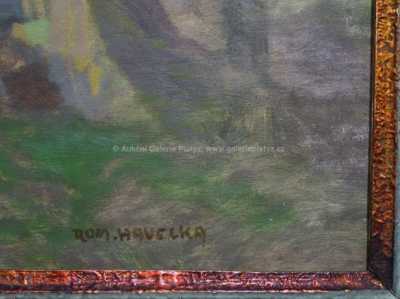  / V lese / Roman Havelka