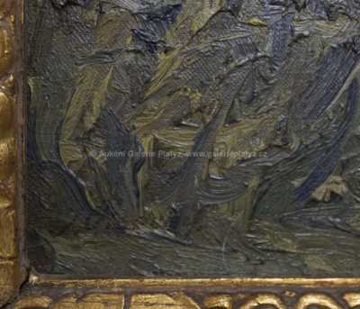  / Z ostrova Krku / Josef Písecký (Liška)