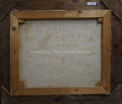  / Na poli / Emil Artur Pitterman - Longen