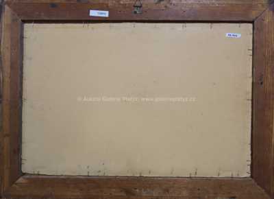  / Rybářská bašta / Václav Radimský