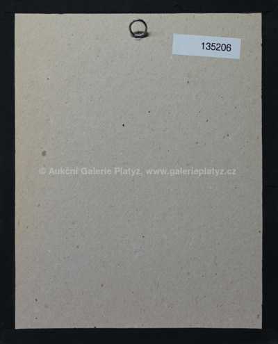  / Na kočáru / Josef Liesler