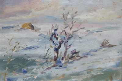  / Zimní exprese /   Autor neurčen