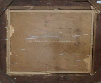  / Zima v Mladé Vožici / Ota Bubeníček