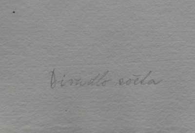  / Anděl II. / Jan  Zrzavý